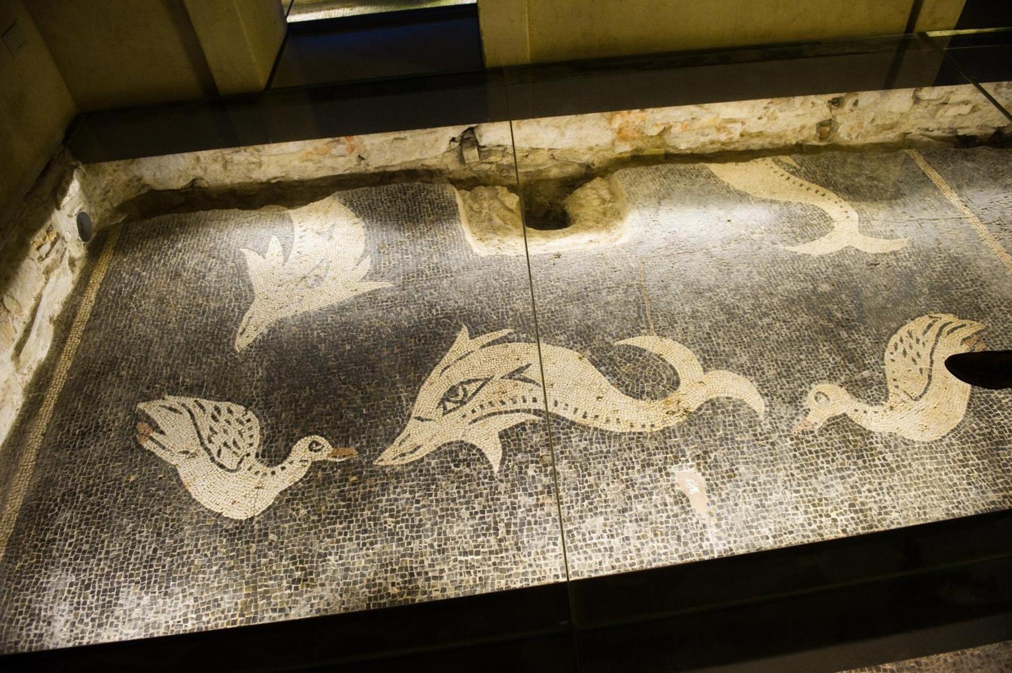 Sugar Rooms Residenza D'Epoca Arezzo Zewnętrze zdjęcie
